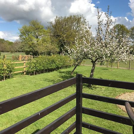Maplehurst Barn Stables Staplehurst Екстер'єр фото
