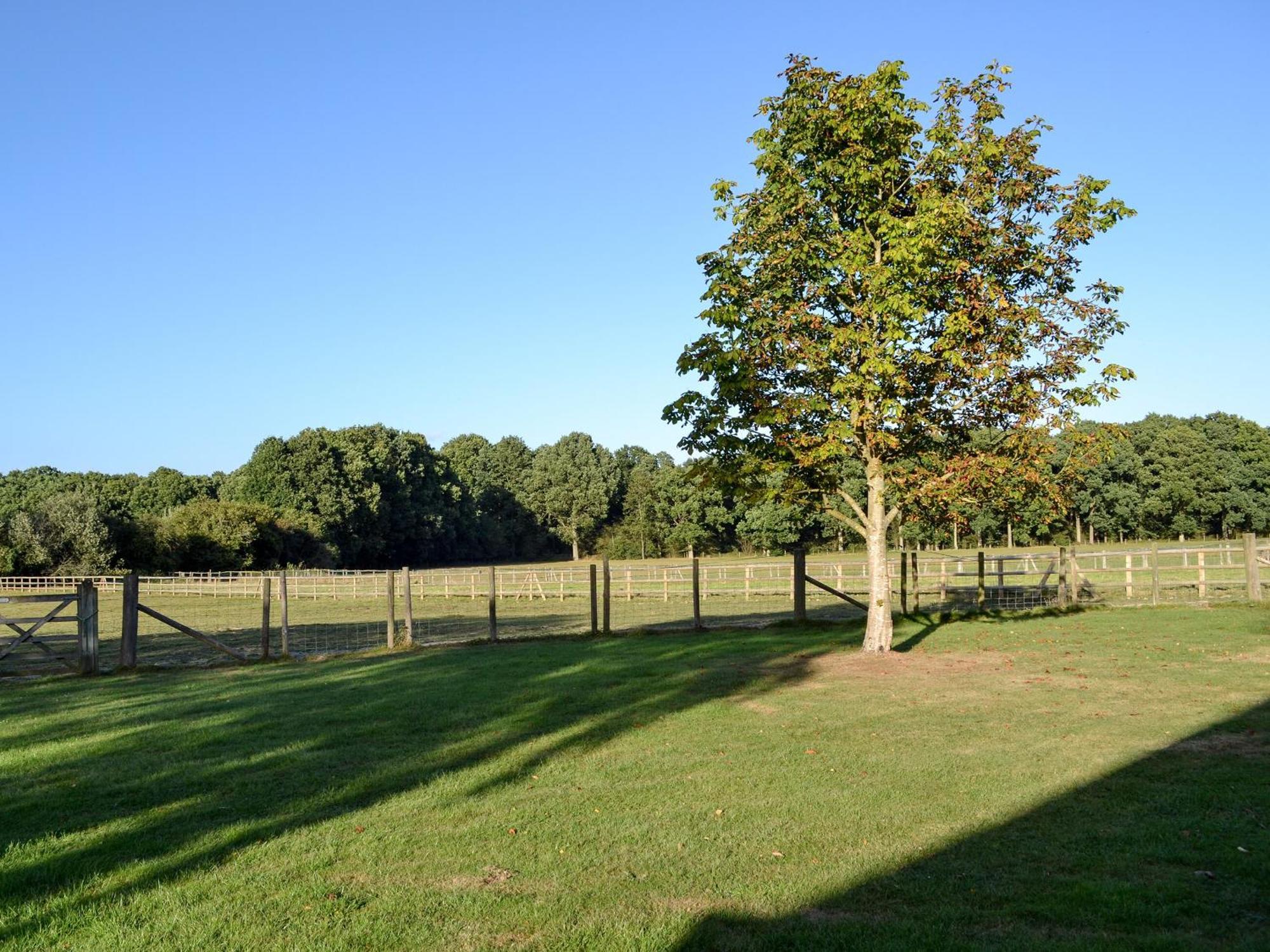 Maplehurst Barn Stables Staplehurst Екстер'єр фото