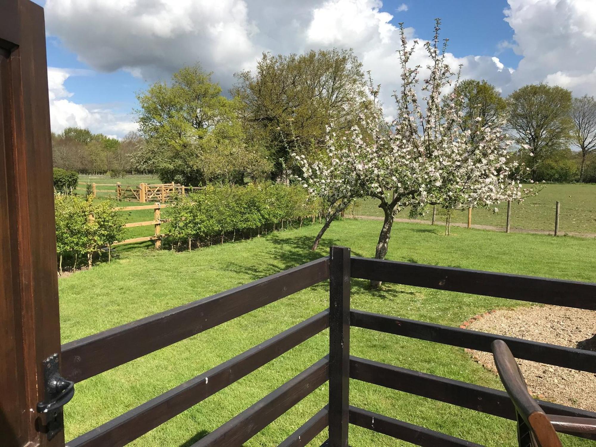 Maplehurst Barn Stables Staplehurst Екстер'єр фото