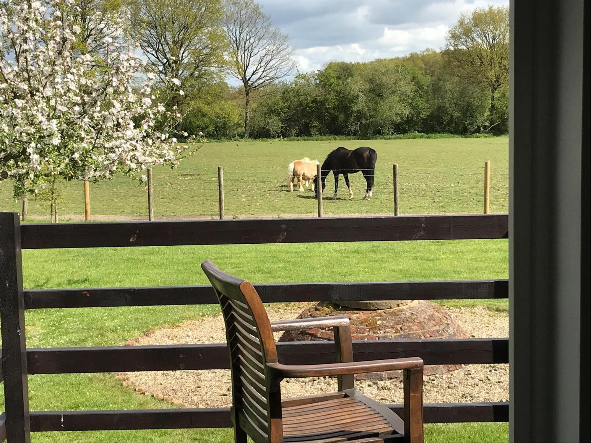 Maplehurst Barn Stables Staplehurst Екстер'єр фото